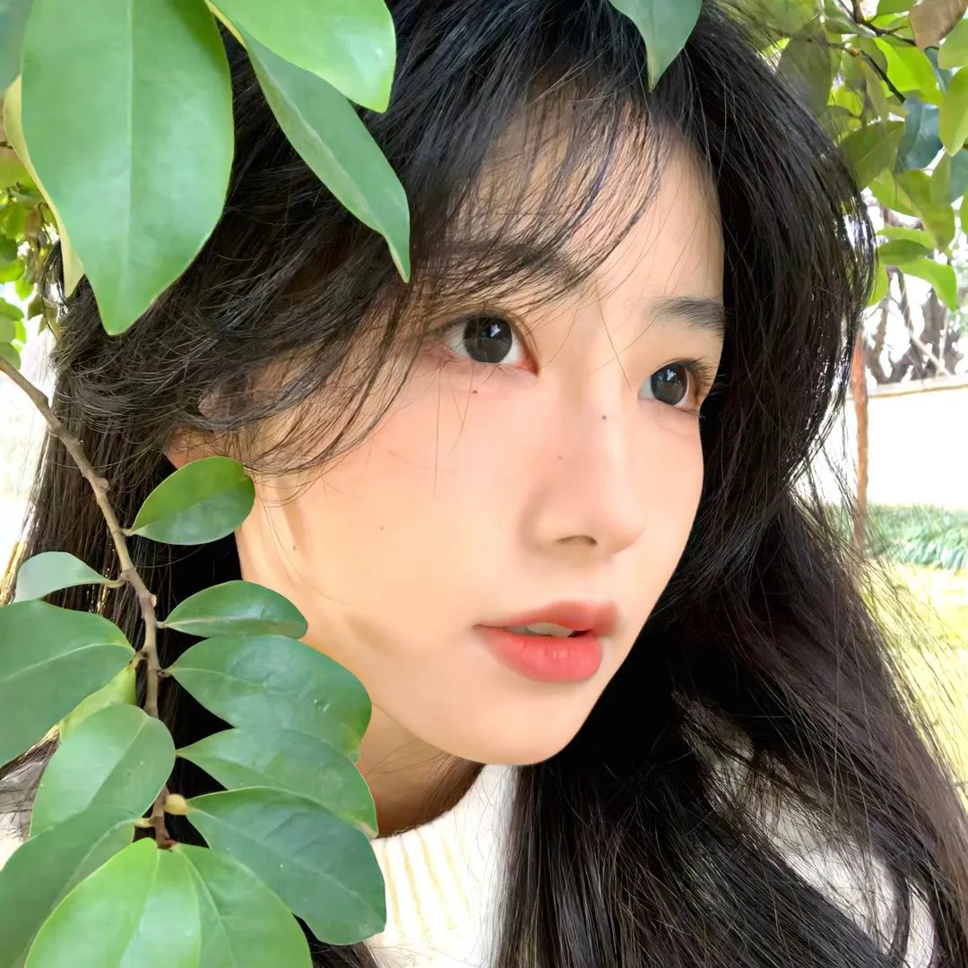 机器肉鸡第八季